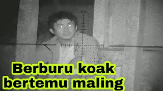 Berburu koak/hunting koak/burung koak malam/bertemu maling