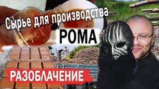 Сырье для производства рома. Разоблачение.