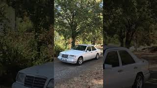 IMG 0372