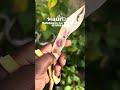Lazy Housewife Runner Beans Making Seed Itsmaureenmw Gardening Youtubemalawi Makingseed Lazy Housewife Runner Beans Making Seed Itsmaureenmw Gardening Youtubemalawi Makingseed