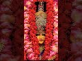 জয় মা মনসার জয় 🌺🙏🌺 #জয়