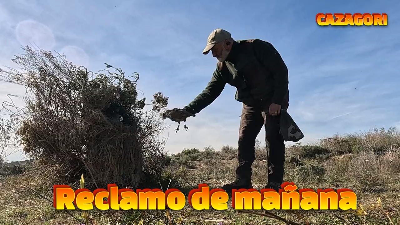 🔥 IMPRESIONANTE Caza con Reclamo de Perdiz de Mañana  🐦🎯 | Solos el reclamo y el campo #Caza
