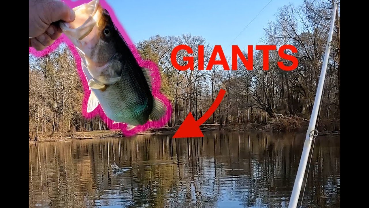 Just a GOOD Day of BIG FISH! NO CLICKBAIT! MULTI – SPECIES!