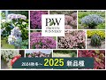 PW2025新品種紹介