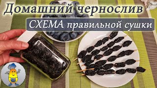 Как сушить чернослив в духовке | Рецепт домашнего чернослива без косточек на шпажках от А до Я