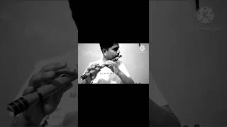 Ek Pyar Ka Nagma Haitried This First Flute Cover