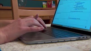 Parkway School District will provide a virtual option for next school year