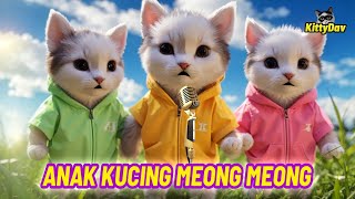 ANAK KUCING MEONG MEONG - KUCING NYANYI LAGU POPULER VERSI KUCING WARNA WARNI GEMOY KittyDav screenshot 1