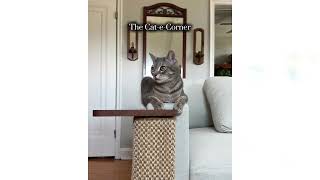 Cat Furniture That's Beautiful and Functional