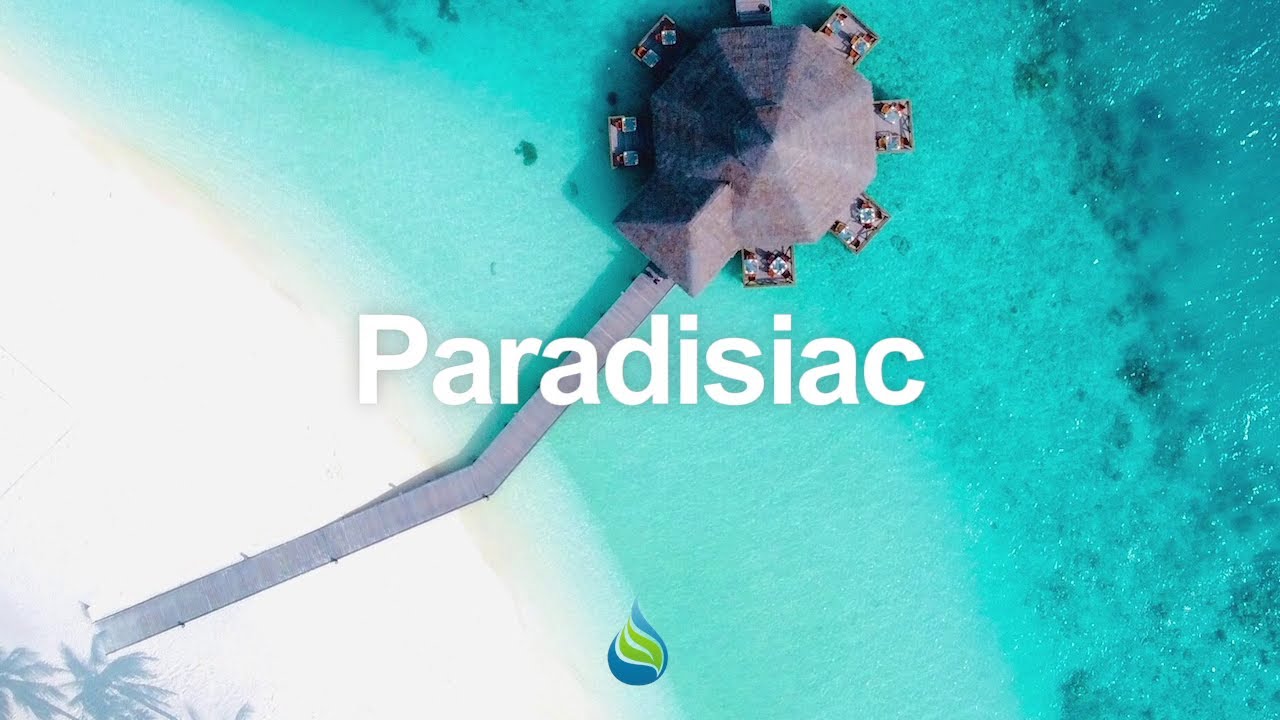 Nightmares On Wax - Argha Noah