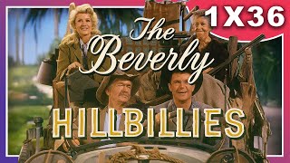 🏡 The Beverly Hillbillies – Season 1 Episode 36 | Jed's Birthday | Vintage Comedy Classic 😂🤠