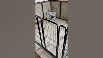 Set up my rabbits cage w/ us #rabbitrescue #bunny #cagesetup