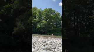 Gradual Cold Day245 - ISAR Information