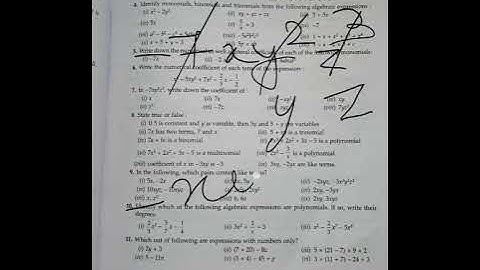 Algebric Expression Class 6 ICSE Ex 9.5 ✨❤️ | Maths Algebra Problems For Class 6 | Maths Problems