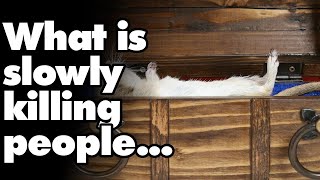 What is slowly noping people...? | Reddit Stories