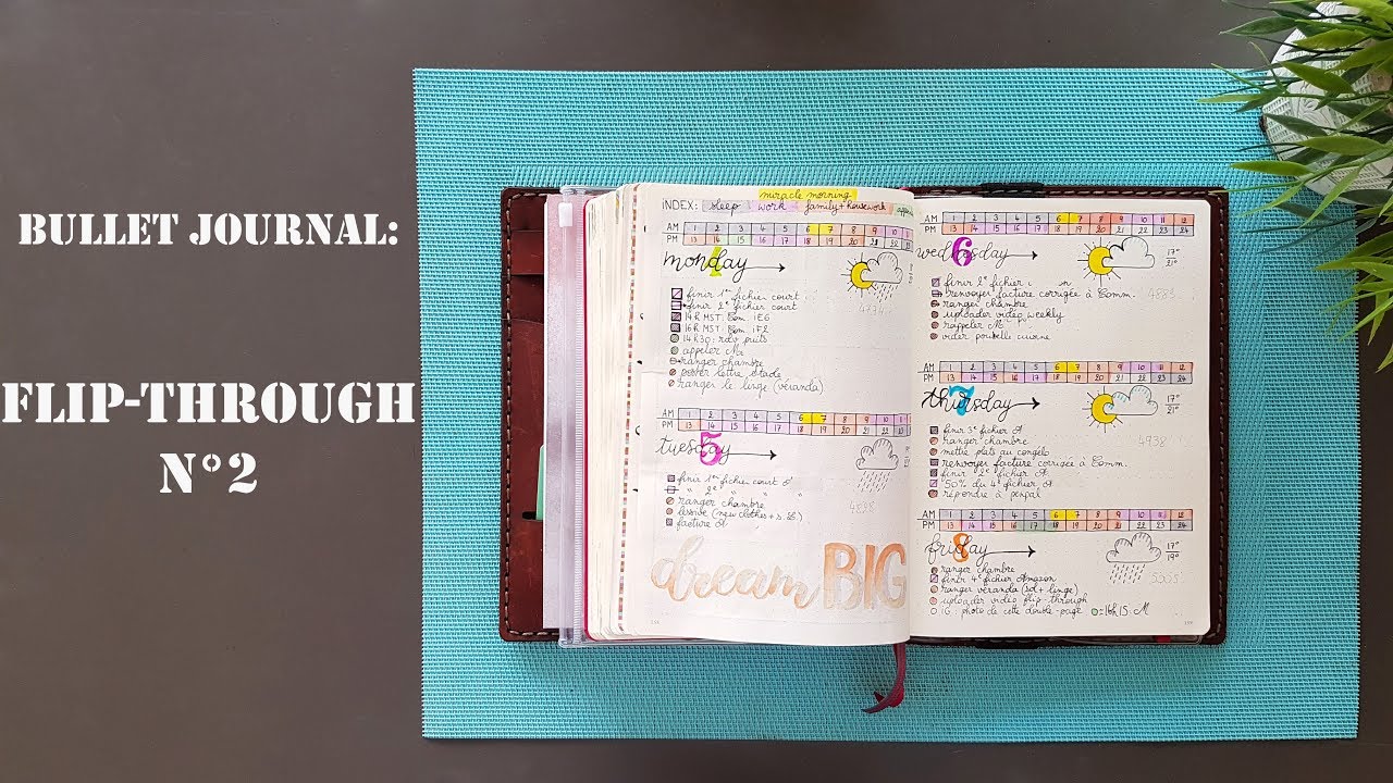 Flip-through n°2 : Comment j'utilise mon bullet journal