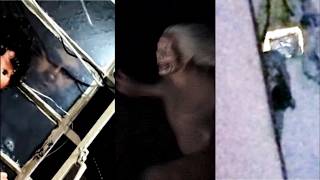 4 VIDEOS VIRALES TAN PERTURBADORES QUE NADIE PUEDE EXPLICARLOS