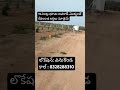 11 సెంట్ల భూమి అవకాడో మొక్కలతో కేవలం 6 లక్షలు మాత్రమే