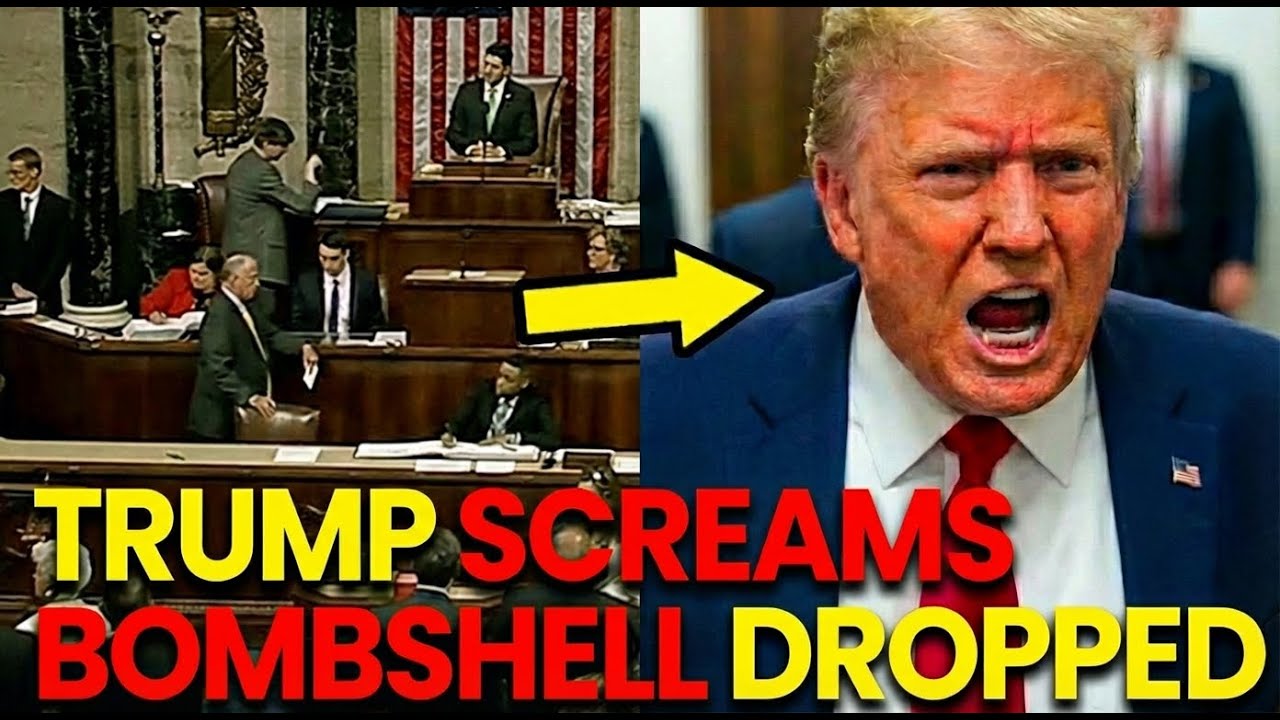 TRUMP SCREAMS AS CONGRESS DROPS BOMBSHELL ON HIM