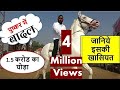 1.5 करोड़ का बादल पुष्कर मेले में बरसा : Millions Price Of Indian Horse In Pushkar Mela Market 2018