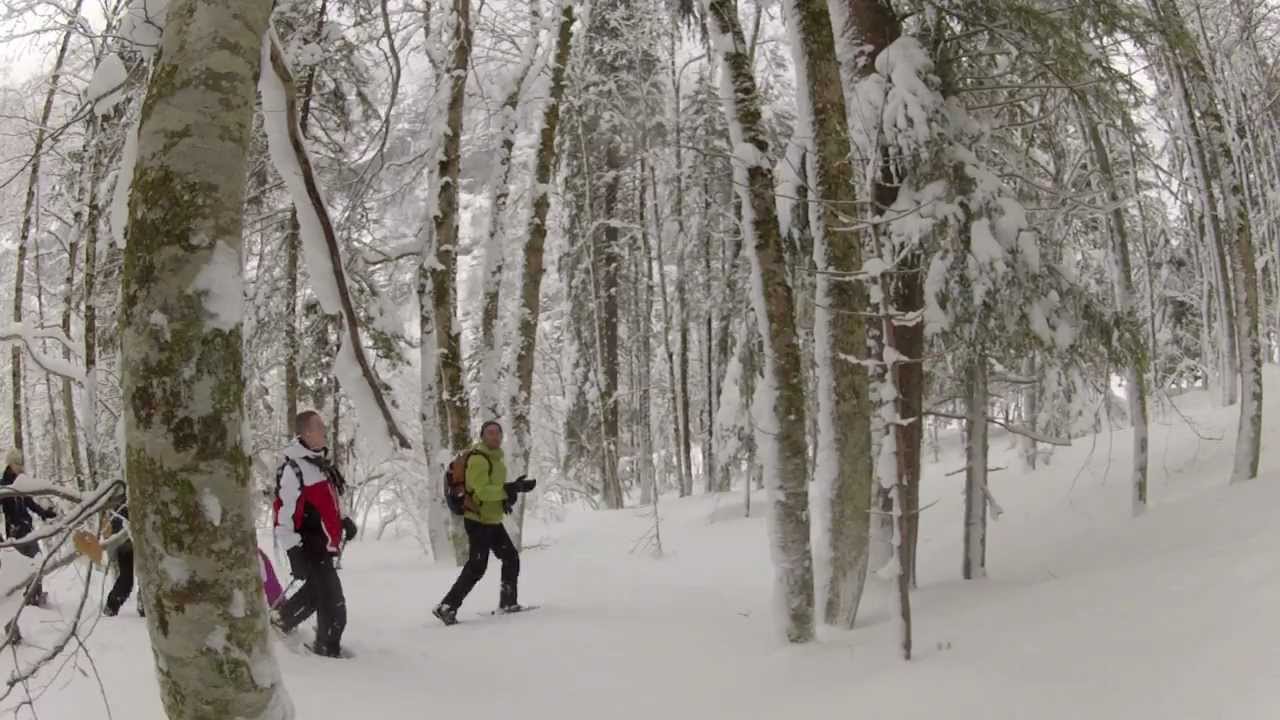 100 seconds of... snowshoes ! YouTube