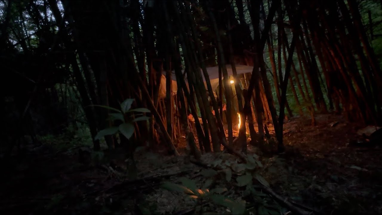 นอนกลางกอไผ่หนามยักษ์!หาหน่อไม้มาเผ่าต้มทำแกงจืดเสือน้อยกินอิ่มหลับสบาย