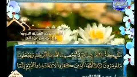 سورة التحريم الشيخ عمر القزابري