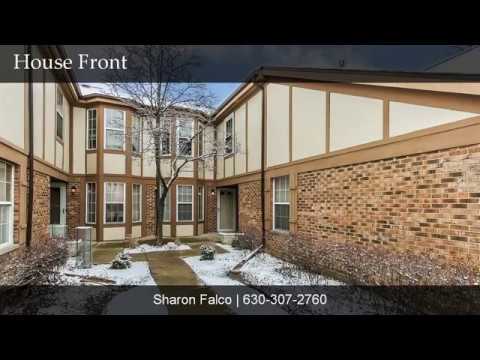 27 WINDING RUN LANE, Streamwood, IL home video tour