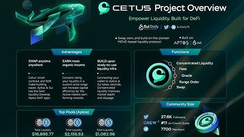 Tutorial how to swap and add liquidity on Cetus in Aptos mainnet