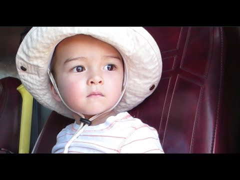 Bringing a Toddler to a Car Show