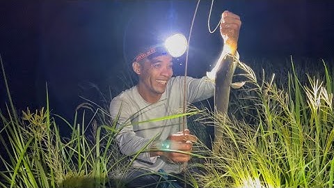 Vùng Này Cắm Câu Vẫn còn Rất Nhiều Cá Lớn.