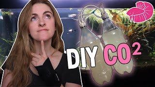 Download Lagu DIY CO2 Planted Tank! Can It Work? Aquascape Results (bonus DISASTER Included) MP3 Download Lagu DIY CO2 Planted Tank! Can It Work? Aquascape Results (bonus DISASTER Included) MP3
