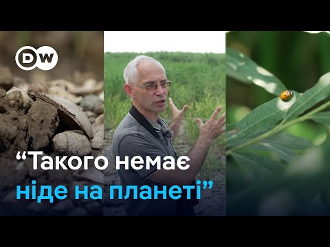 Що зараз на місці колишнього Каховського водосховища