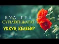 Сүйлөгөн гүл тууралуу уктуңуз беле?