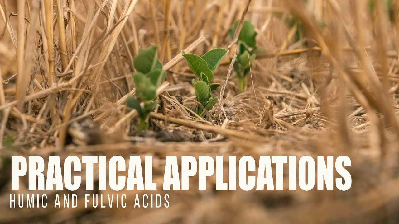 Episode 4: Practical Applications - HOW HUMIC AND FULVIC ACIDS SUPPORT SOIL MICROBES