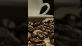 Build Your Own Bulk SMS Sender|add telegram:MY911SMS screenshot 3