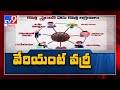 Coronavirus: 7 symptoms of the new COVID strain