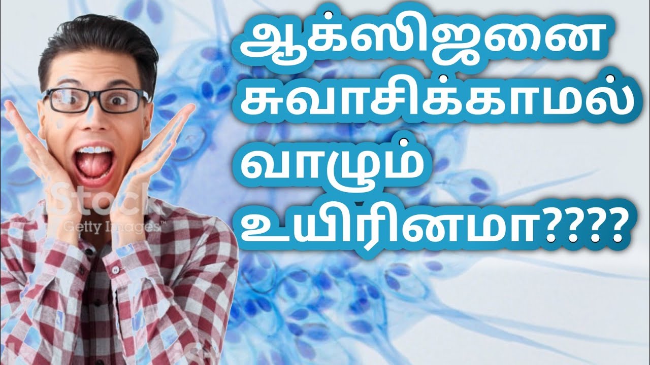 World's first cell organism breaths without oxygen