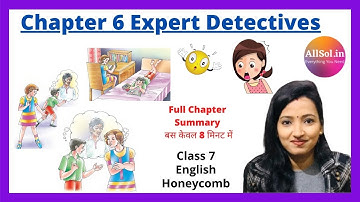 Chapter 6 Expert Detectives Short Summary in Hindi Class 7 English HoneyComb