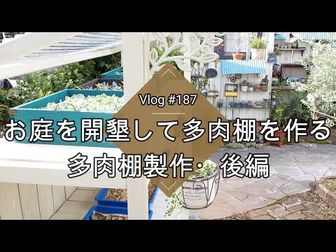 Vlog 187] [Succulents] Finally, the succulent shelf is complete