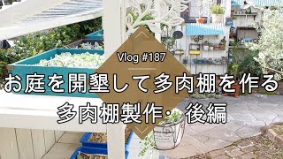 【Vlog187】【多肉植物】ついに多肉棚完成