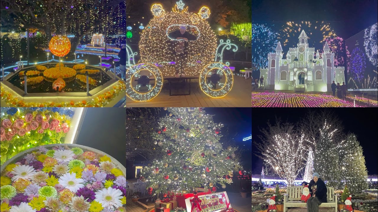 足利フラワーパークのイルミネーション行ってきた！I went to Ashikaga flower park!!