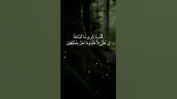 #تلاوة_خاشعة #قرآن #المصحف #اكسبلور #قران_كريم #راحة_نفسية #قطر #صلاة #القرآن_الكريم #تلاوات #تلاوة