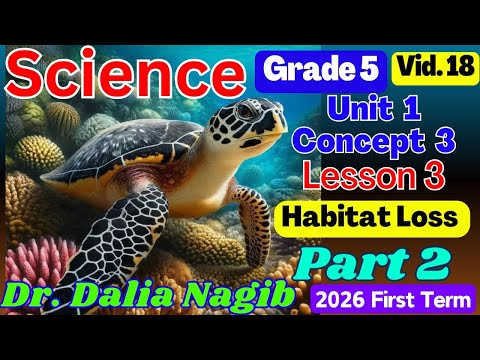 ساينس خامسة ابتدائى ترم اول 2026 𝐒𝐜𝐢𝐞𝐧𝐜𝐞 𝐆𝐫𝐚𝐝𝐞 5 𝐂𝐨𝐧𝐜𝐞𝐩𝐭 3 𝐋𝐞𝐬𝐬𝐨𝐧 3 Part 2 ساينس خامسة ابتدائى ترم اول 2026 𝐒𝐜𝐢𝐞𝐧𝐜𝐞 𝐆𝐫𝐚𝐝𝐞 5 𝐂𝐨𝐧𝐜𝐞𝐩𝐭 3 𝐋𝐞𝐬𝐬𝐨𝐧 3 Part 2