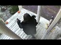 Girl Slips On Icy Steps