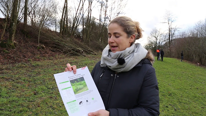 Video agridea Entretien d'une haie