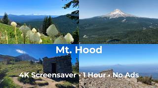 Mt. Hood 4K Screensaver | Wildflowers, Summit Views &amp; Hidden Stone Hut | Oregon Cascades