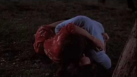 Burt Reynolds and Sally Field in Hooper (1978)