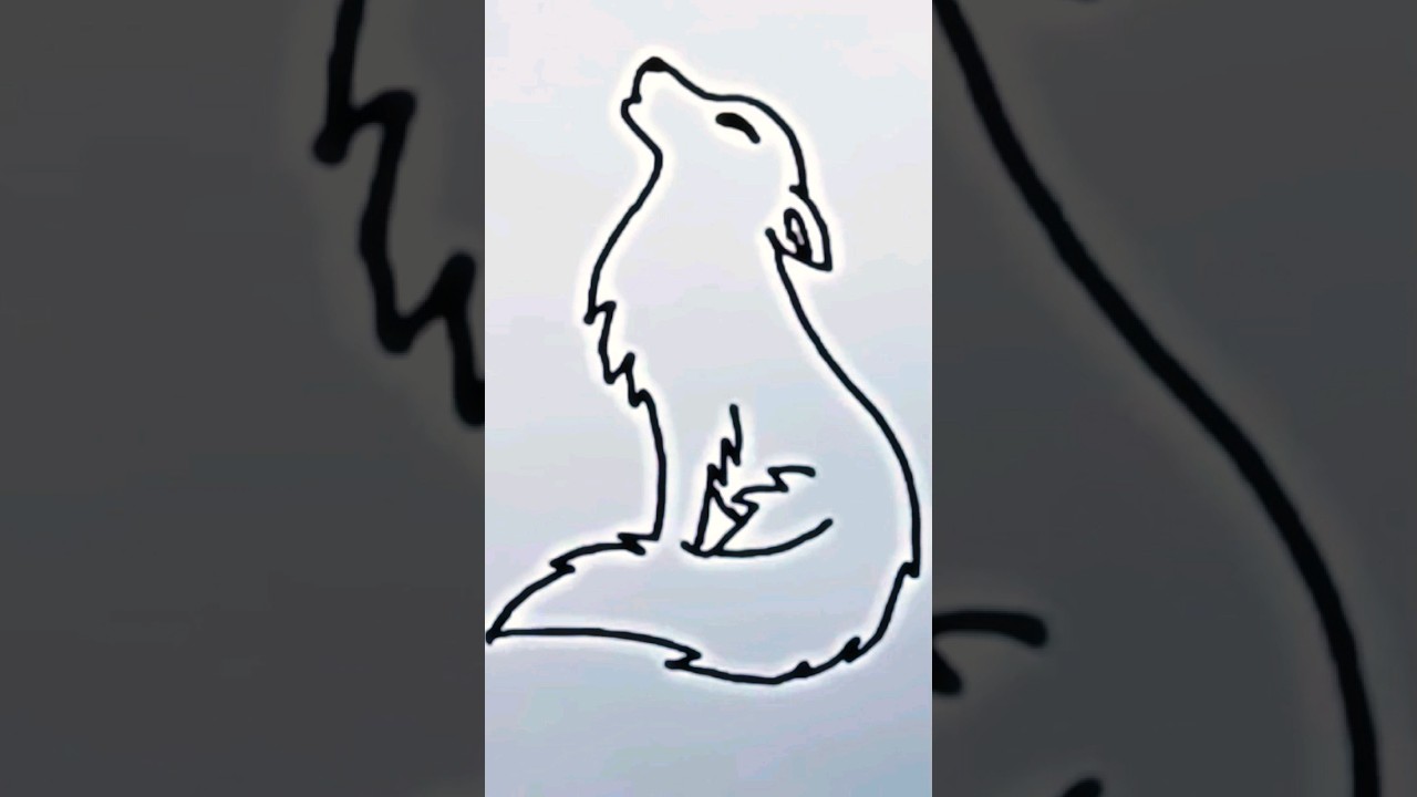 how to draw wolf 