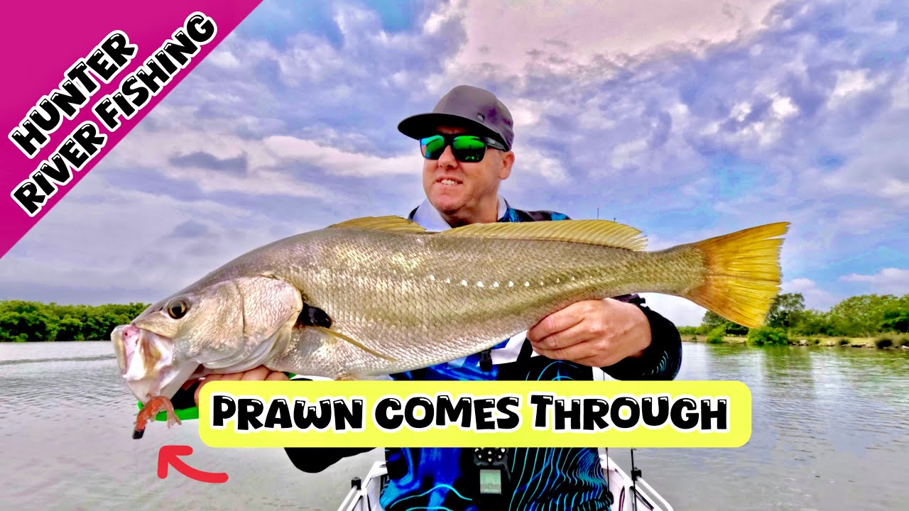 River Fishing for Jewfish